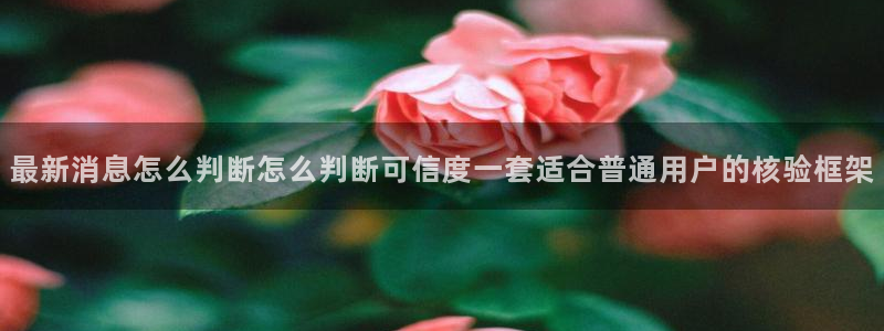 热门网络话题