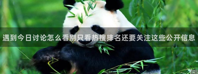 今日热点资讯